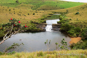 Places to see in Sri Lanka Horton Plains National Park