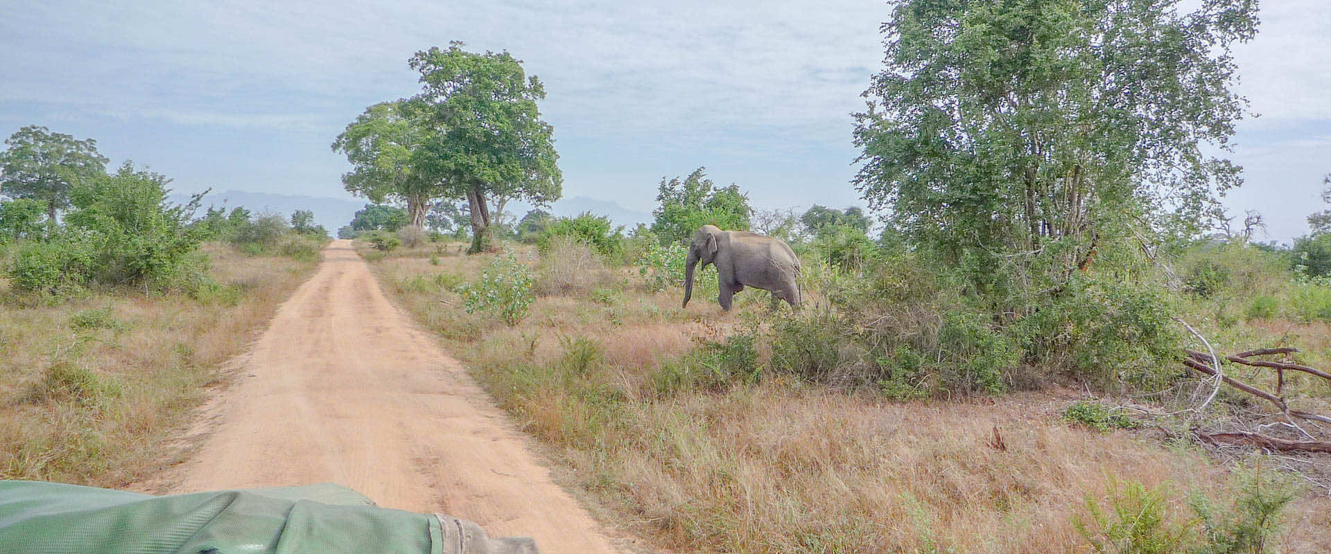 sri lanka jeep safari